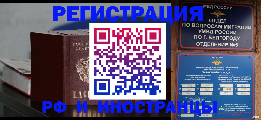 прописка 2025 в Павловске